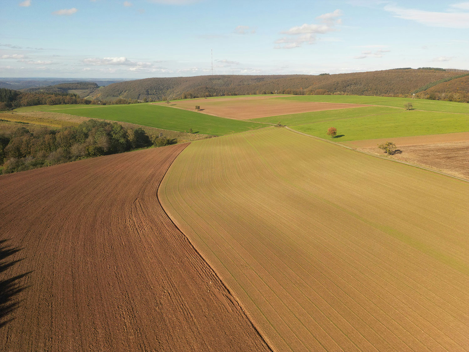 Aerial view of cultivated farmland with distinct sections of brown, green, and tan fields bordered by forested hills under a blue sky.