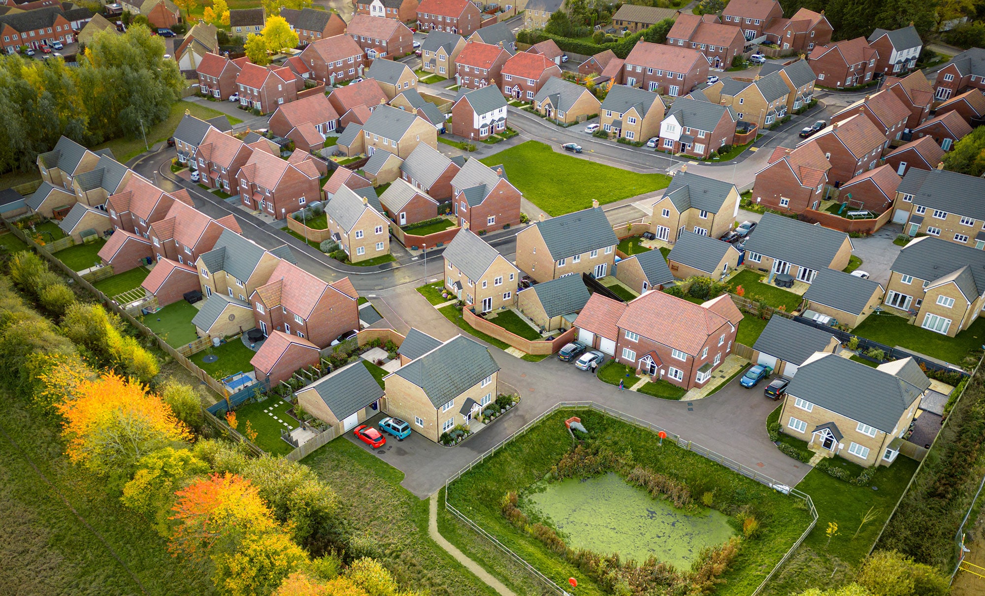 Aerial view of a suburban neighborhood with houses, a small pond, and colorful autumn trees.