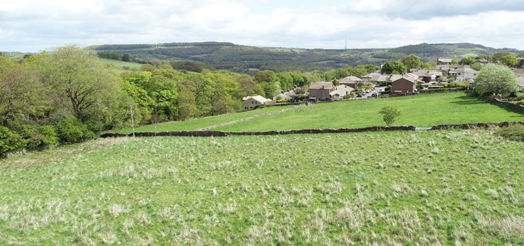 An Image of a field.